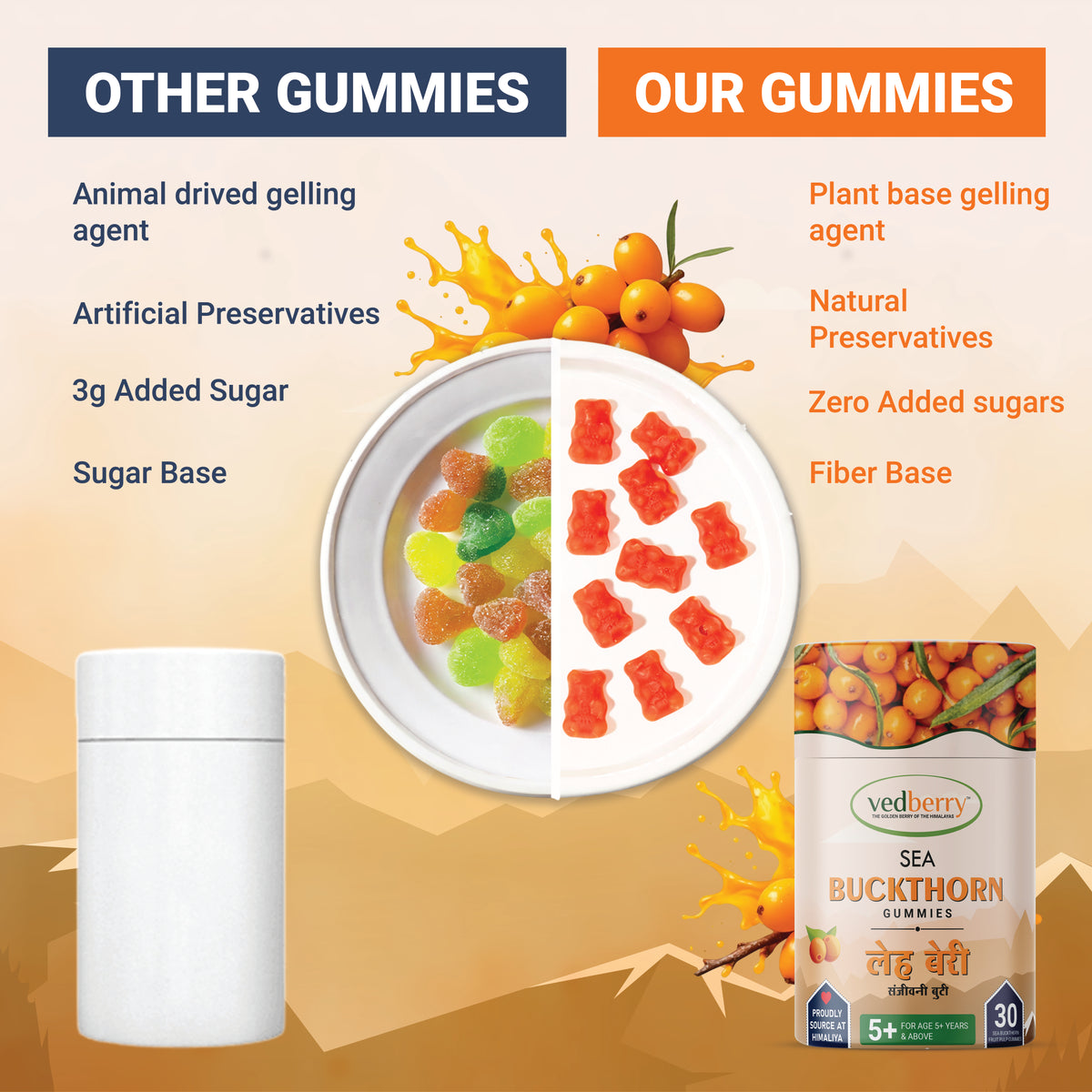 Himalayan Sea Buckthorn Berries | Sun-Dried & 100% Natural