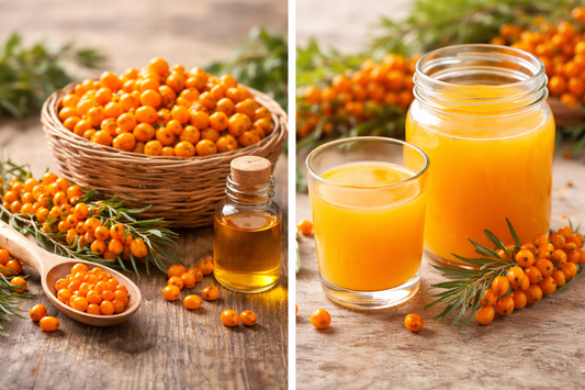 Top 11 Sea Buckthorn Berry Benefits: The Ultimate Guide to Leh Berry