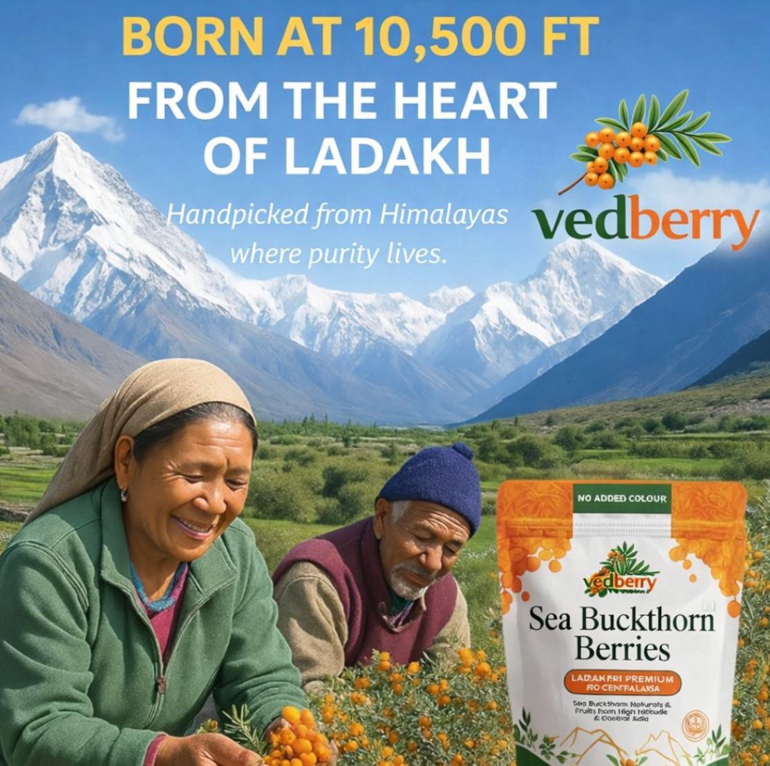 Himalayan Sea Buckthorn Berries | Sun-Dried & 100% Natural